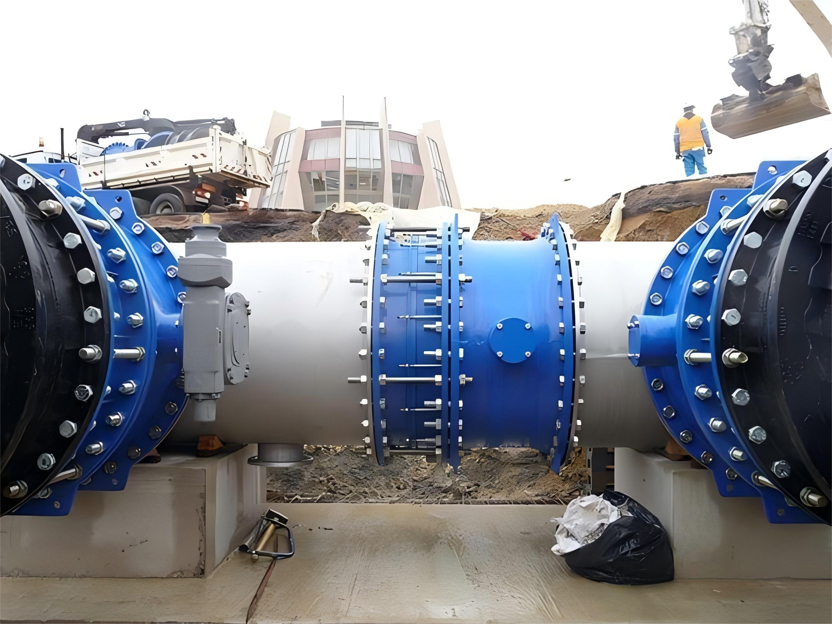 double offset butterfly valve